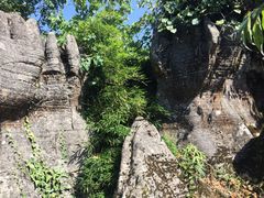 -山王坪喀斯特国家生态公园
