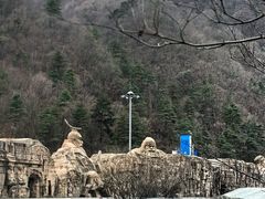 -秦岭服务区餐厅(京昆高速店)