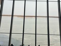 -抱抱地球咖啡馆(国家海洋博物馆店)
