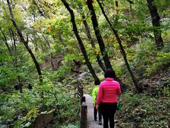 -北京上方山国家森林公园