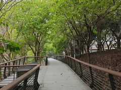 -长乐南山公园