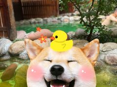 -灵秀温泉