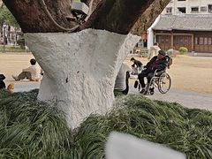 -墨池公园