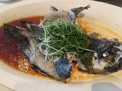 -南海渔村(珠江新城店)