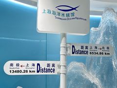 -上海海洋水族馆