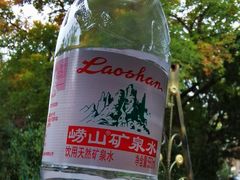 -八大关景区