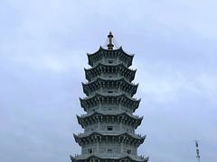 -嘉荫恐龙国家地质公园