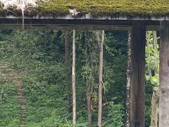 -中国大熊猫保护研究中心雅安碧峰峡基地