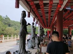 -三水森林公园