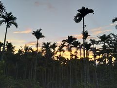 -海南槟榔谷黎苗文化旅游区