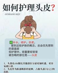 -木北造型