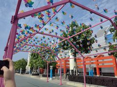 景点-厦门方特梦幻王国