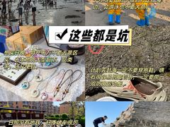 -日照海滨国家森林公园