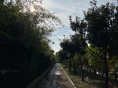 -菊园百果园
