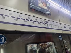 -望京西(地铁站)