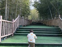 -陶祖圣境风景区