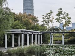 -郑东新区湿地公园