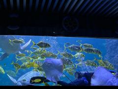 -左海海底世界
