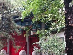 -北陵公园