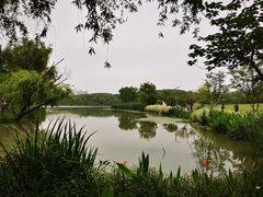 -昆山城市生态森林公园