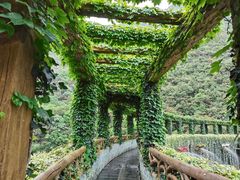 -郧西五龙河风景区