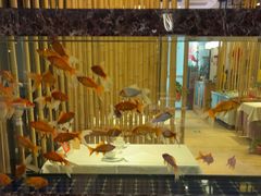 -原鄉本味 楚菜 丹江口鱼(北苑店)