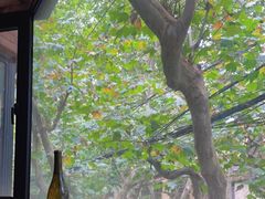 -毛辣果·酸(OHA复兴西路店)