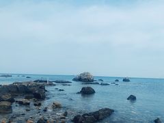 -养马岛旅游度假区