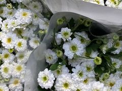 -循礼门鲜花花市(武汉循礼门店)