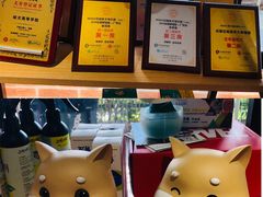 -柴犬高等学院·狗咖·柴犬售卖·宠物训练