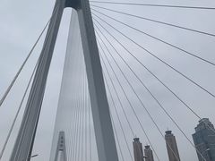 -月湖风景区