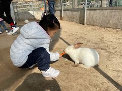 -前小桔亲子创意农场·草莓采摘·露营烧烤