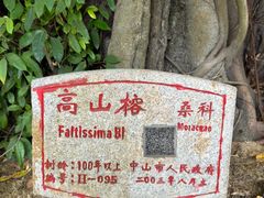 -三溪村