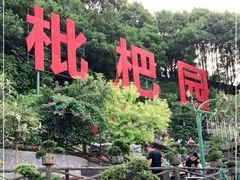 -枇杷园食为鲜火锅(南山店)