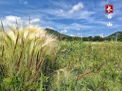 -长白山万达国际度假区