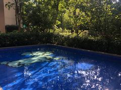 -上海崇明金茂凯悦酒店