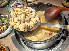 -蘑界·野生菌火锅(深业上城店)