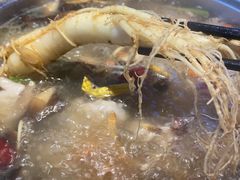 -千岛蚝高压锅生蚝·人参火锅(白云万达店)