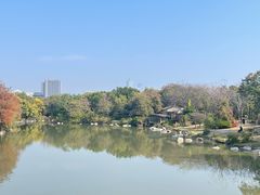 -海珠湖公园