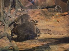 -波塞冬旅游度假区