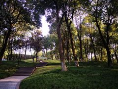 -重庆市江北嘴中央商务区中央公园