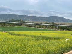 -光明小镇欢乐田园