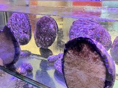 -好彩海鲜火锅饭店(银河百老汇店)