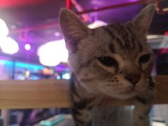 -NRG 健身私教CLUB(云山路店)