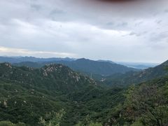 -大岭沟猕猴桃谷风景区