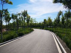 -天津东丽湖风景区