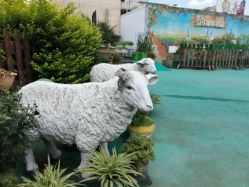 -梦田都市农场(银泰城店)