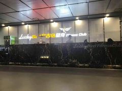 -金吉鸟健身游泳