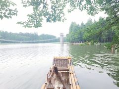 -东湖落雁景区