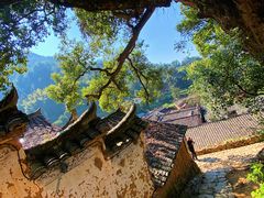 -杨家堂村